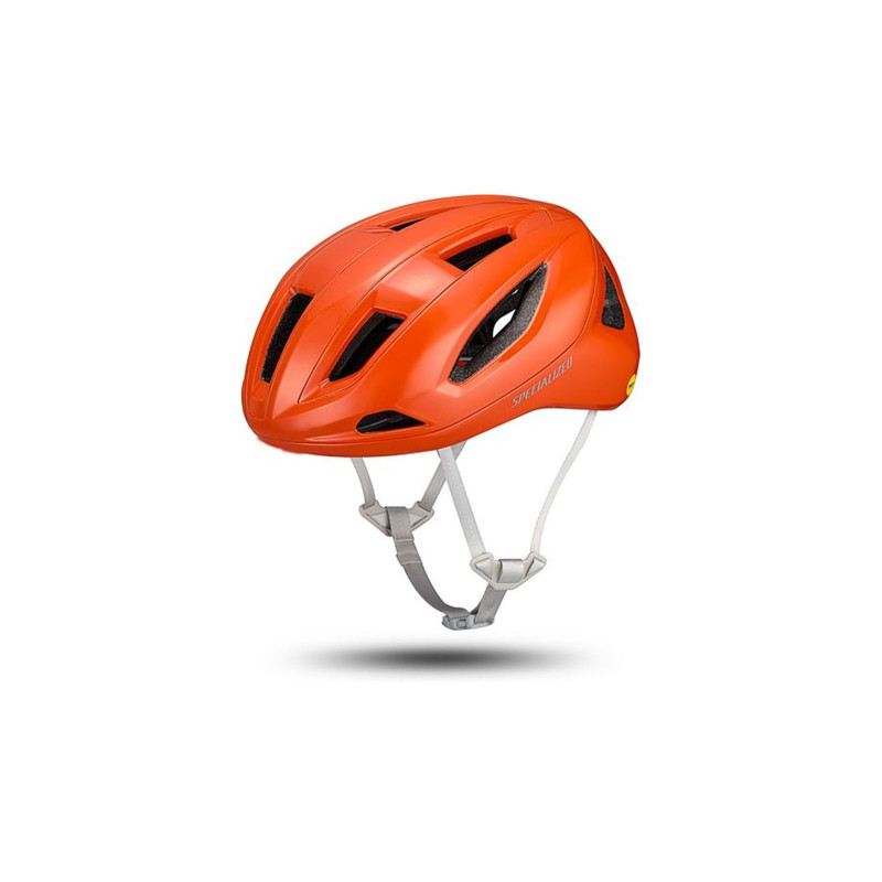 CASCO SPECIALIZED SEARCH