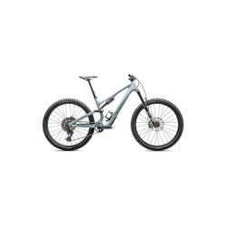 SPECIALIZED STUMPJUMPER 15 COMP 2025